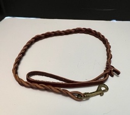 Heavy Braided Leather lead 