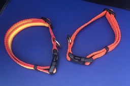 2 Medium size orange collars $3