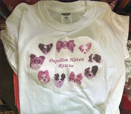 PapHaven Logo T Shirt - XL