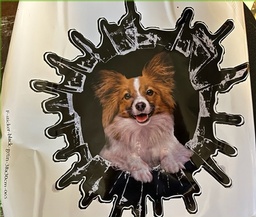 Large Papillon Decal/Sticker
